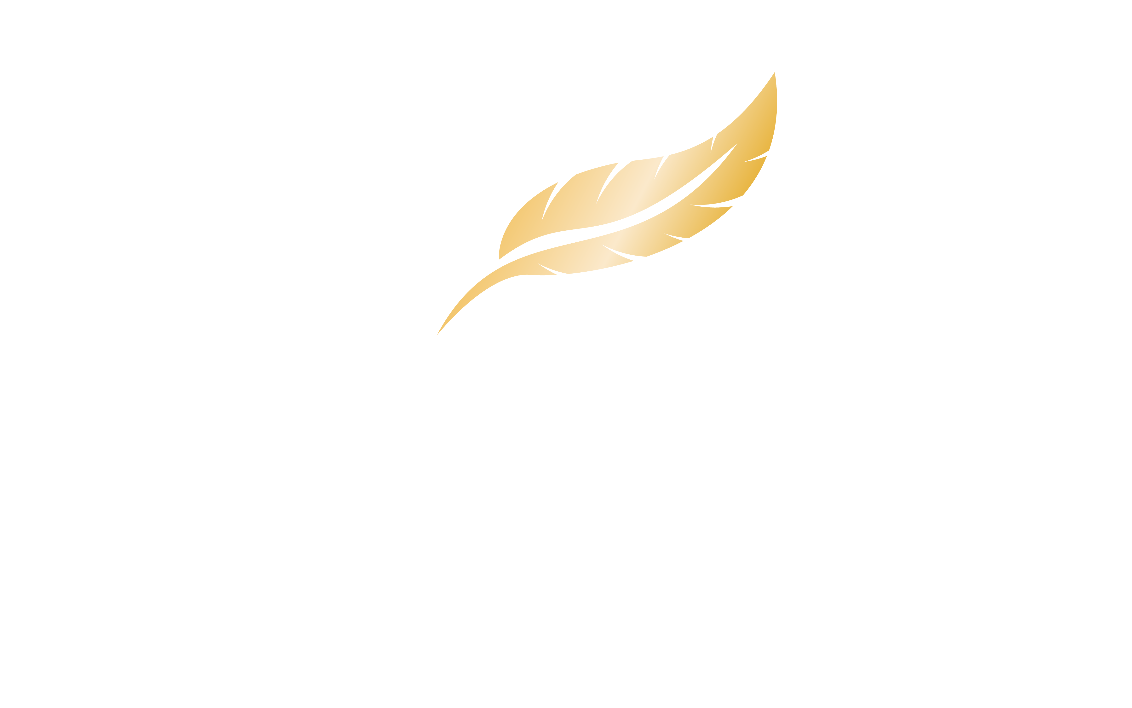 Logo Transfaire